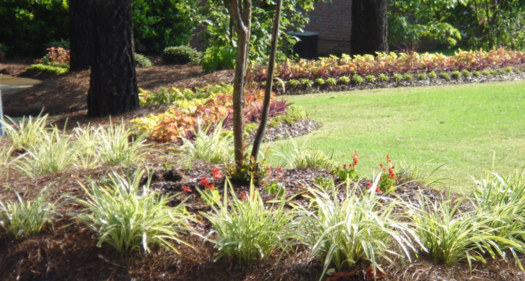 Residential and Commercial Landscaping Woodstock, GA Outdoor Effects Landscaping