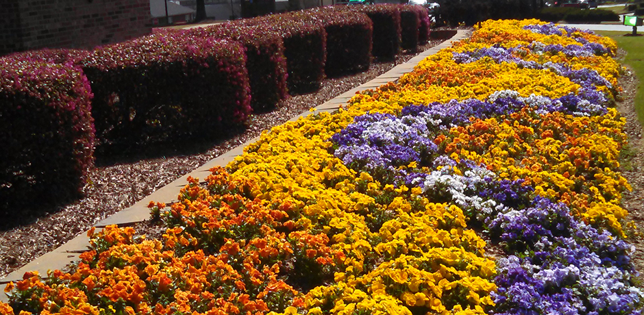 Commercial Landscaping in Woodstock, GA